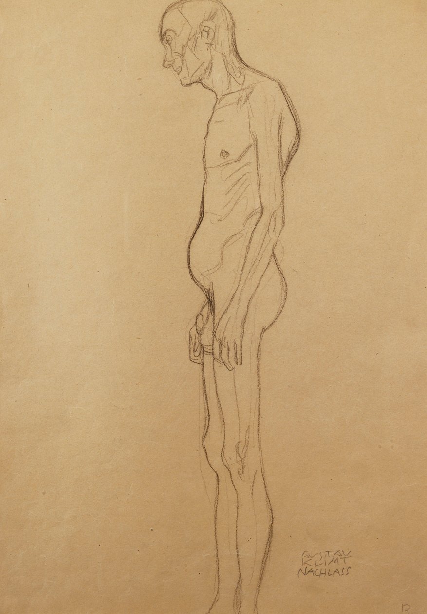 Uomo nudo da Gustav Klimt