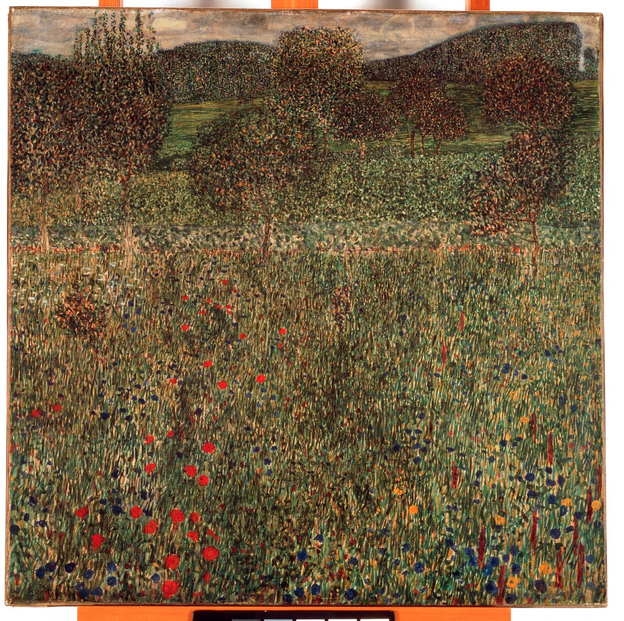 Frutteto, 1905 circa (olio su tela) da Gustav Klimt