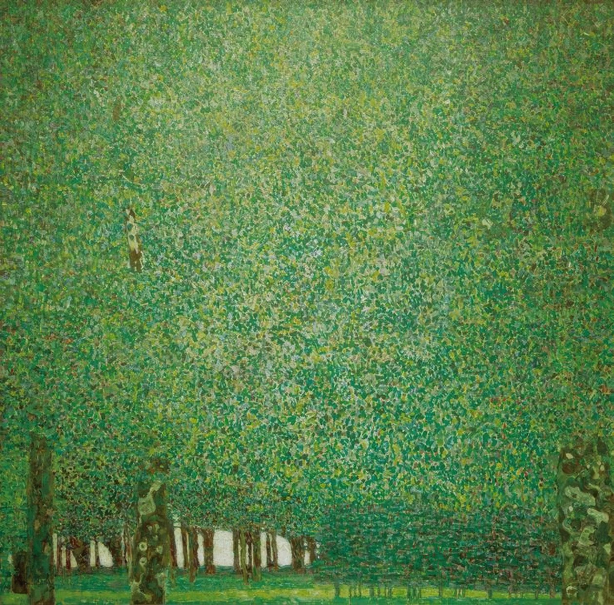 Parco da Gustav Klimt