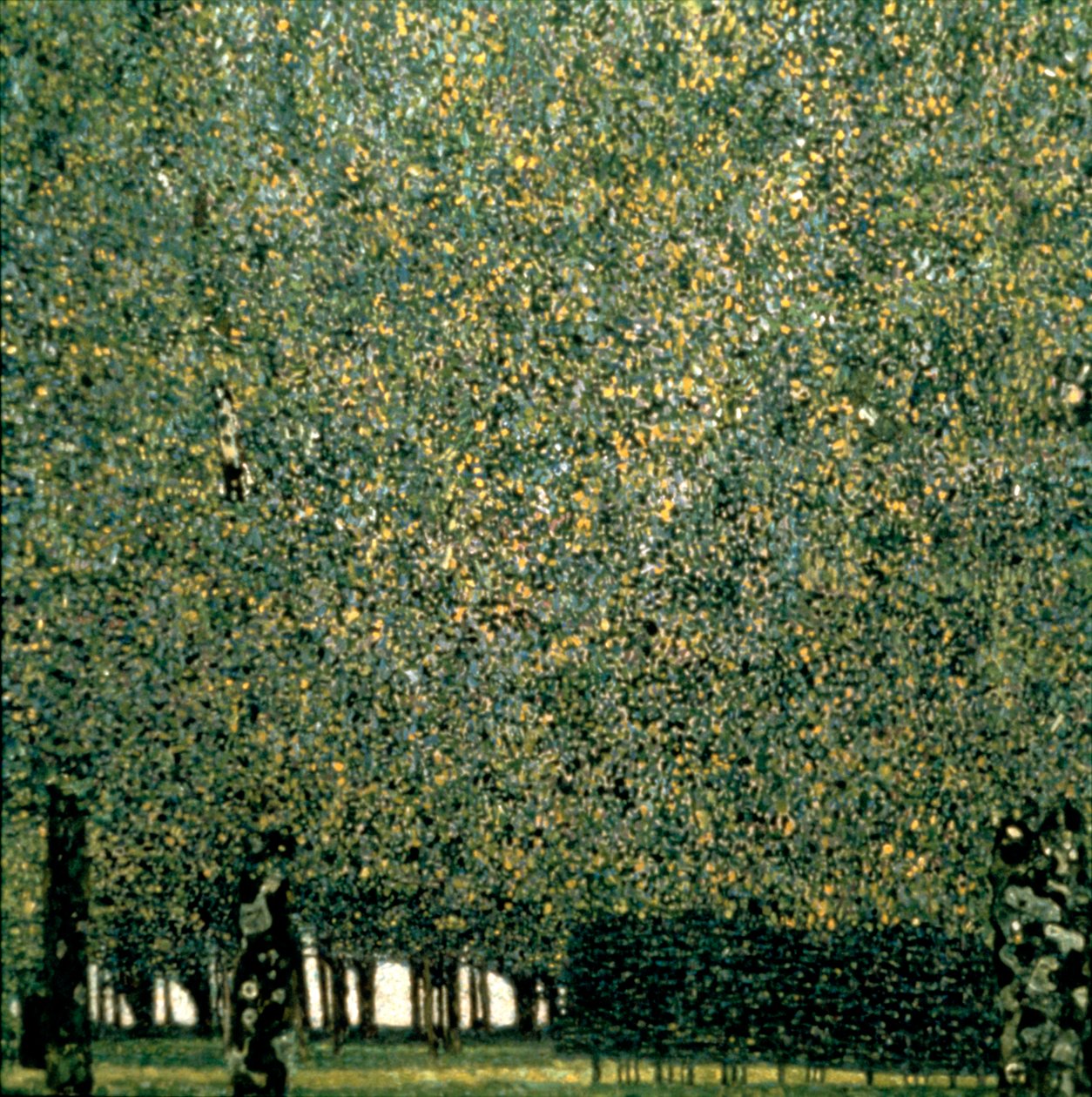 Parco, 1910 da Gustav Klimt