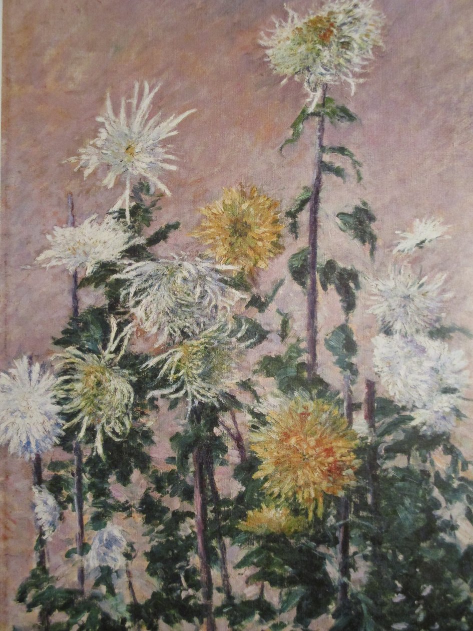 Crisantemi bianchi e gialli da Gustave Caillebotte