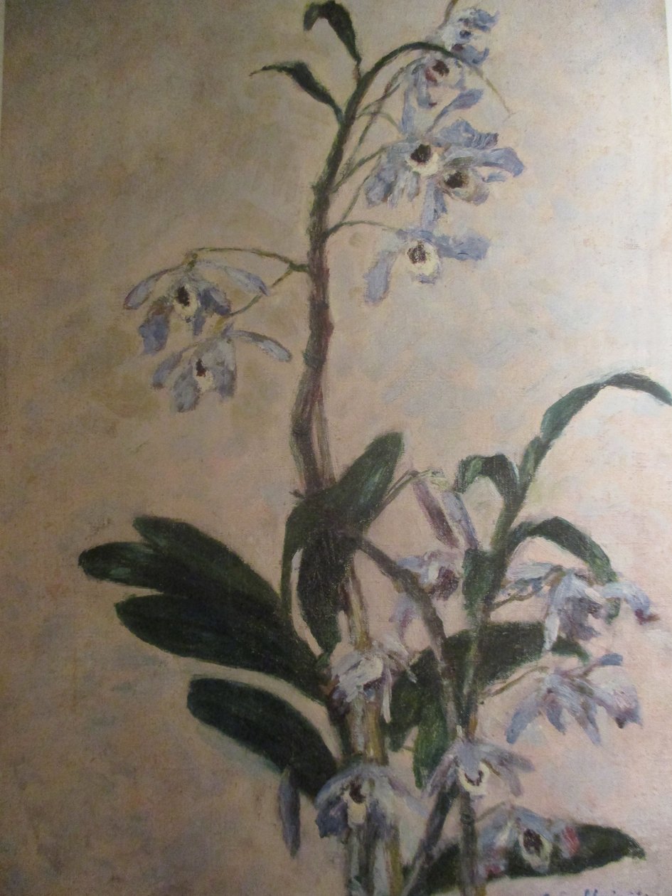Le orchidee da Gustave Caillebotte