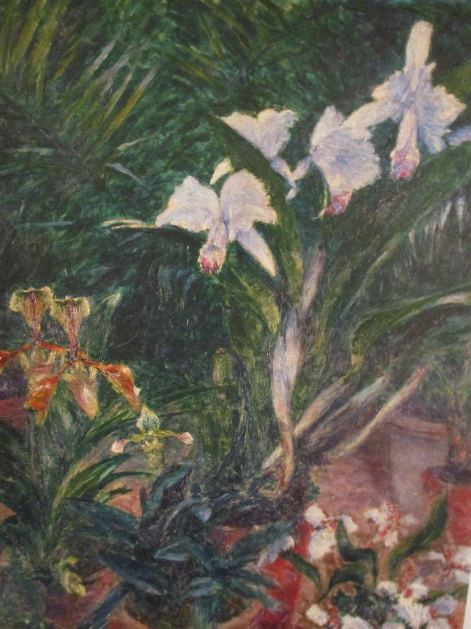 Orchidee nella serra del Petit Gennevilliers da Gustave Caillebotte