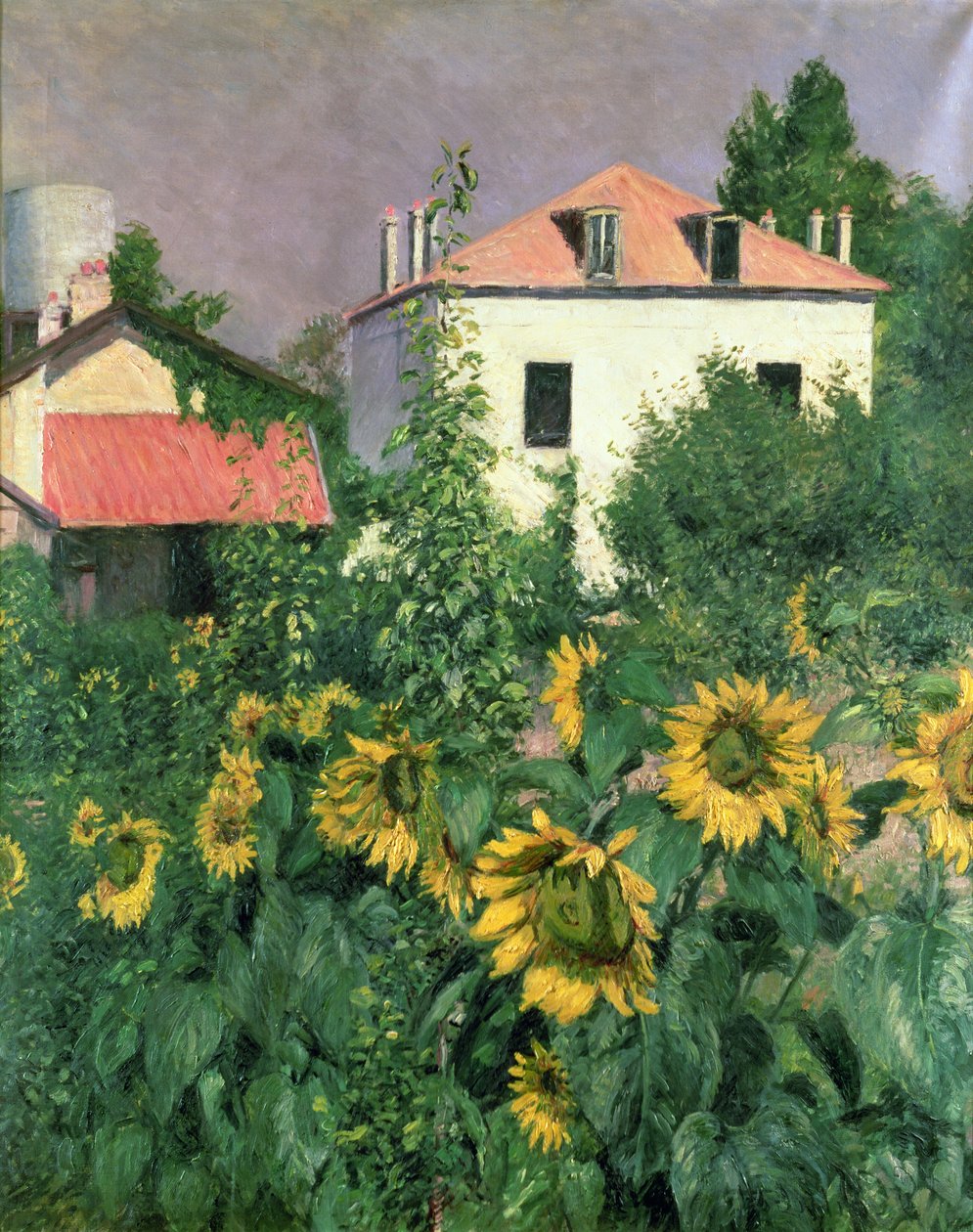 Girasoli nel giardino a Petit Gennevilliers da Gustave Caillebotte