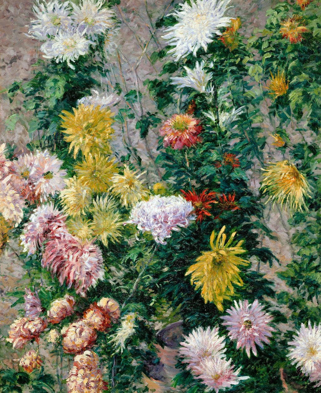 Crisantemi bianchi e gialli, 1893 da Gustave Caillebotte