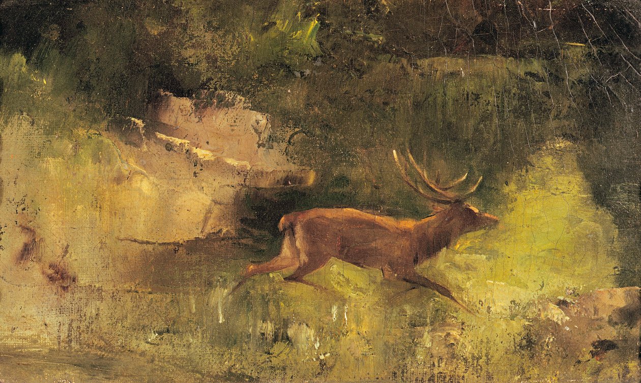 Cervo che corre attraverso un bosco, c.1865 da Gustave Courbet