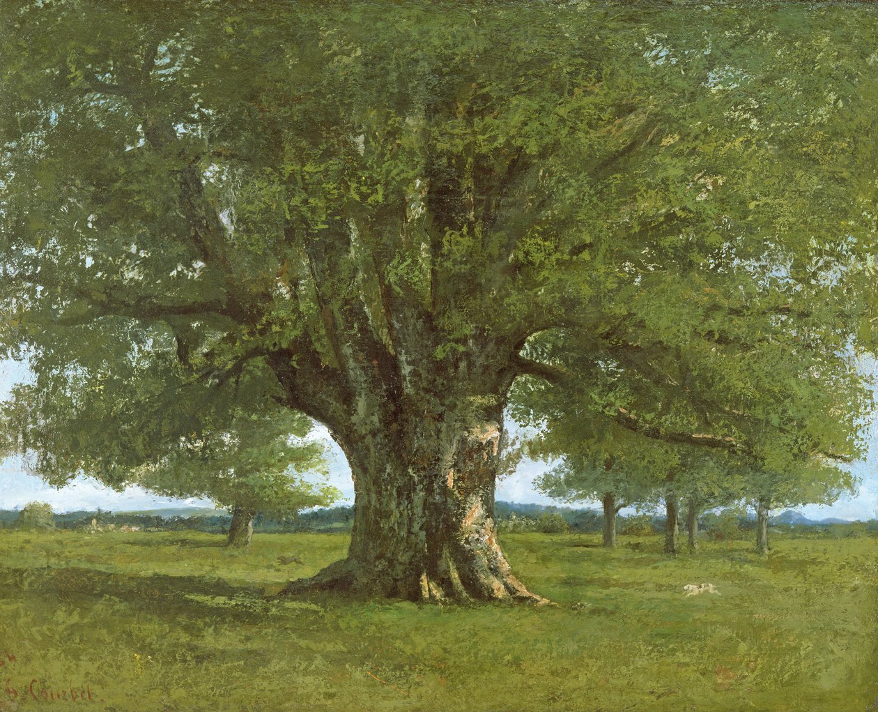 La quercia di Flagey, 1864 da Gustave Courbet