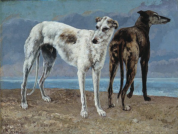 I levrieri del conte di Choiseul da Gustave Courbet