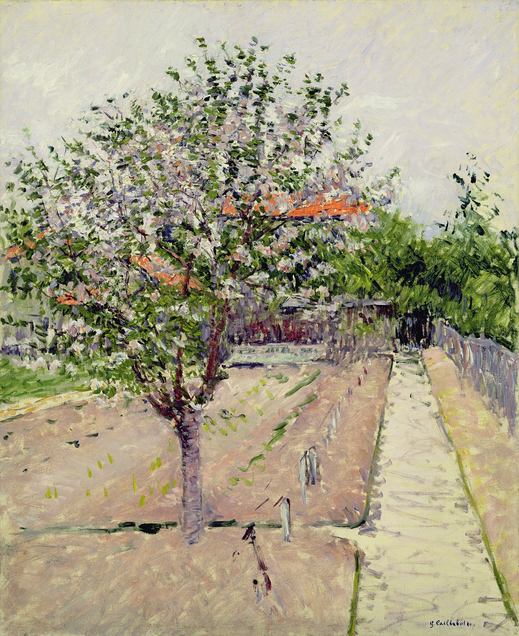 Albero di Melo in Fiore, c.1885 da Gustave Caillebotte