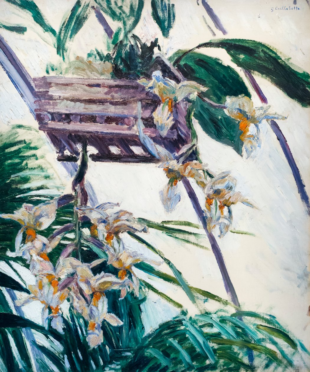 Orchidee, c. 1893 da Gustave Caillebotte