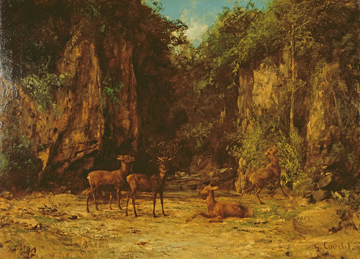 Branco di Cervi Rossi al Crepuscolo da Gustave Courbet