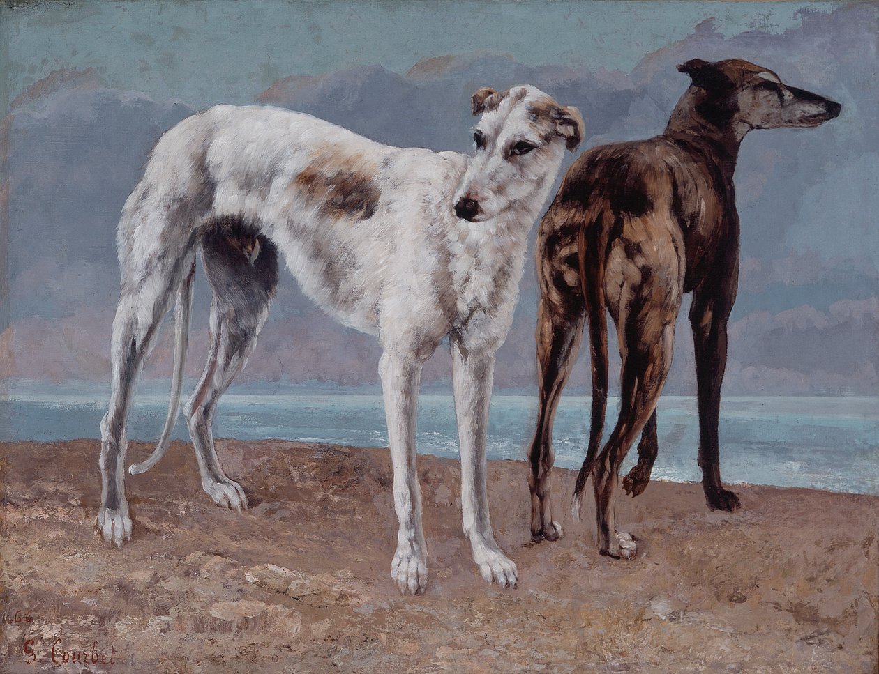 I levrieri del conte di Choiseul da Gustave Courbet