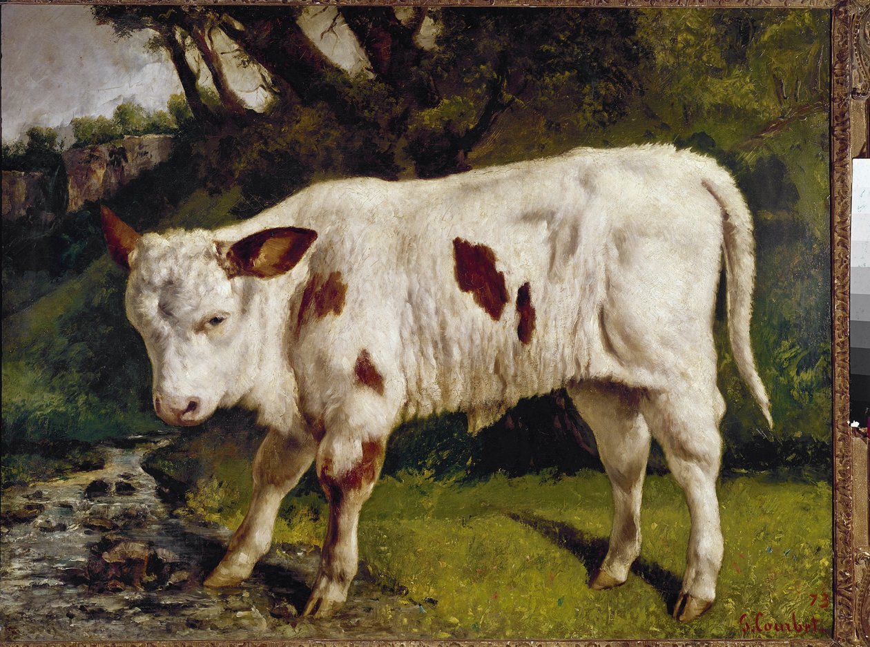 Il vitello da Gustave Courbet