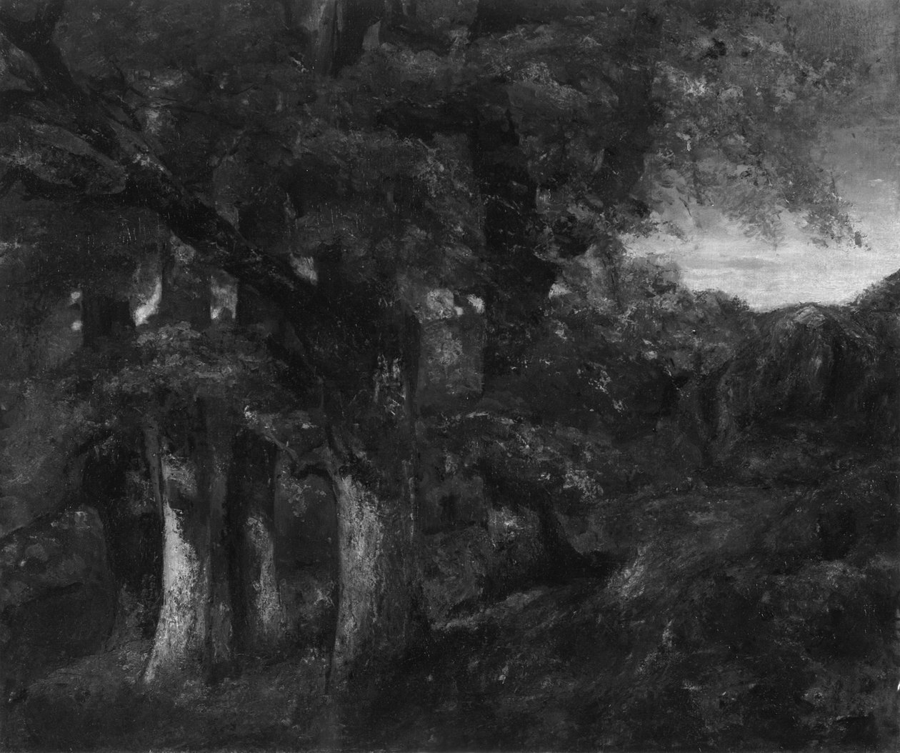 Paesaggio boscoso da Gustave Courbet