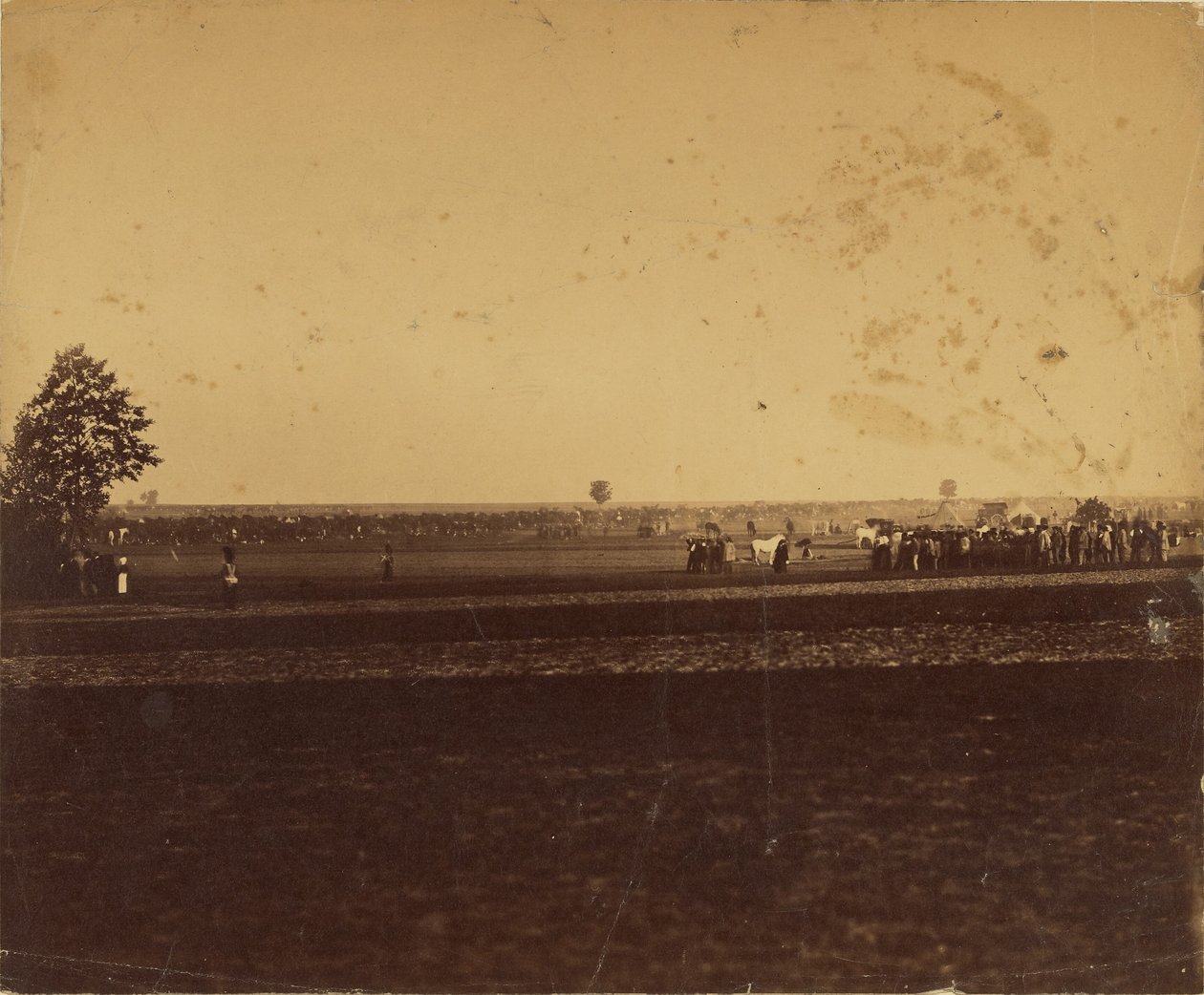 [Campo di Chalons] da Gustave Le Gray