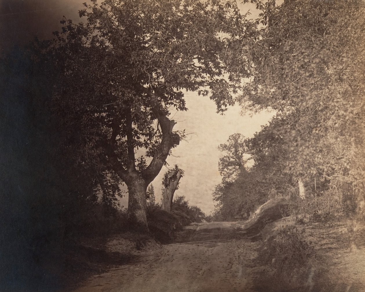Fontainebleau, sentiero sabbioso in salita da Gustave Le Gray
