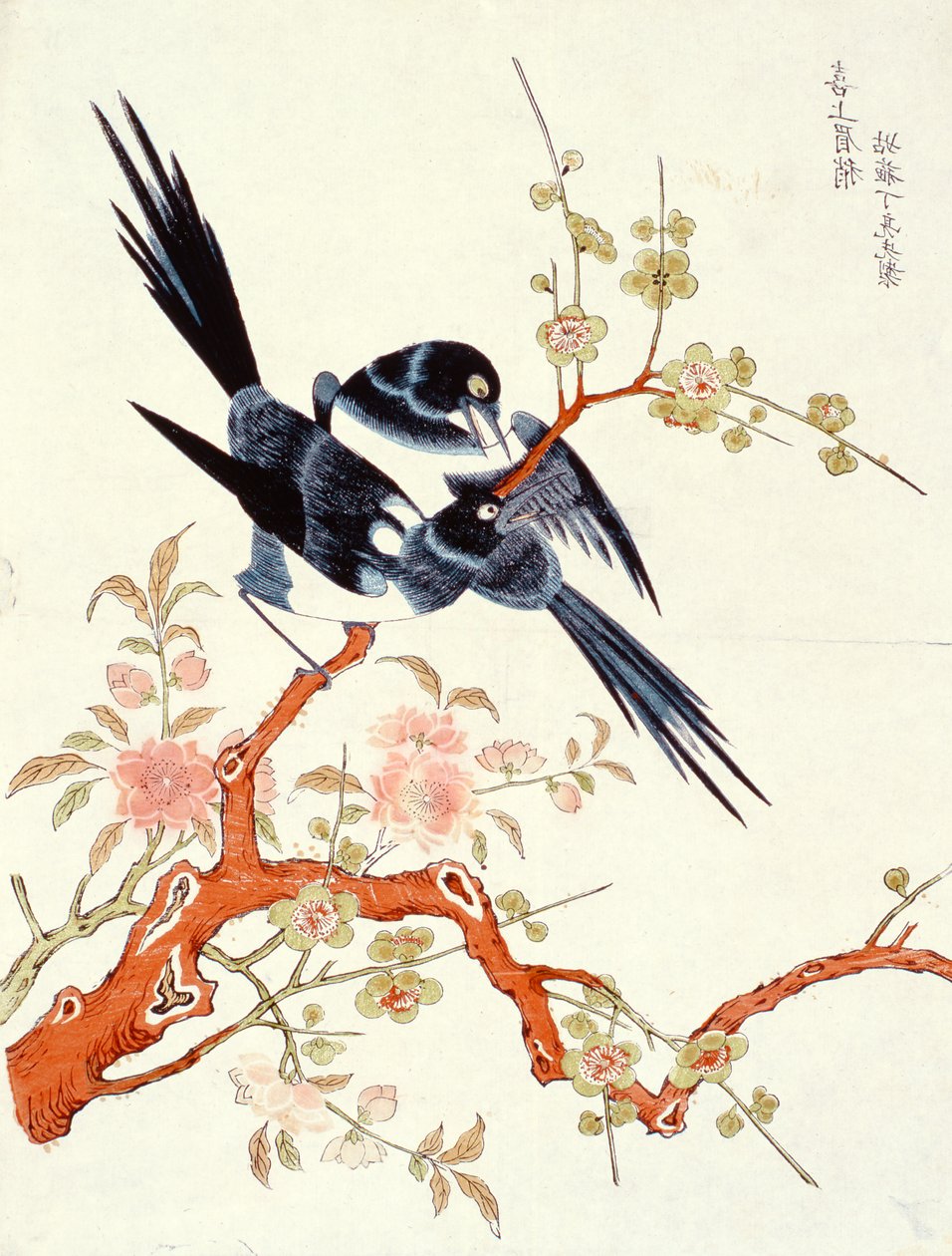 Xishang meixiao (Sembrare felice) Suzhou da Gusu Ding Liangxian