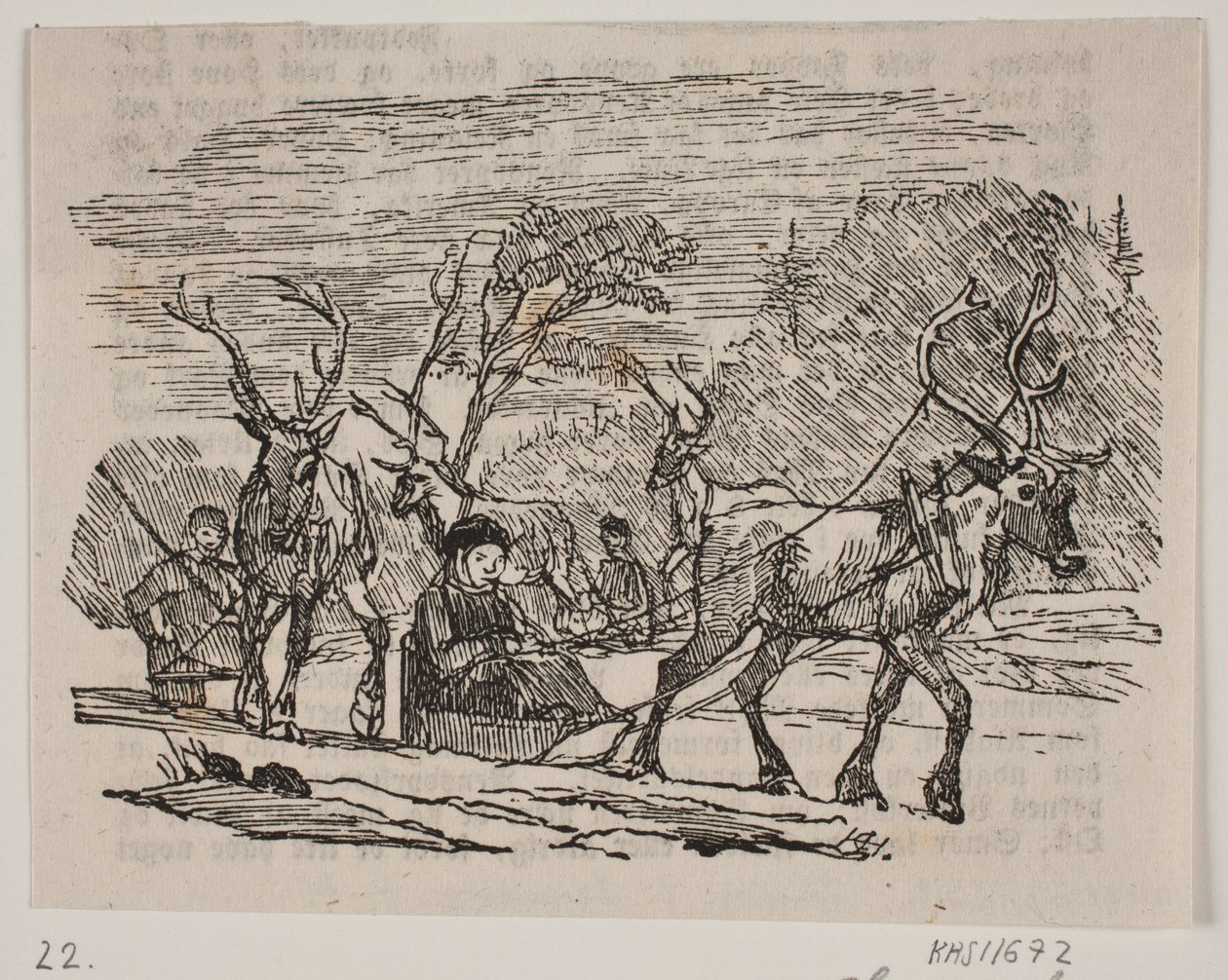 Corsa in slitta con renne da H. C. Henneberg