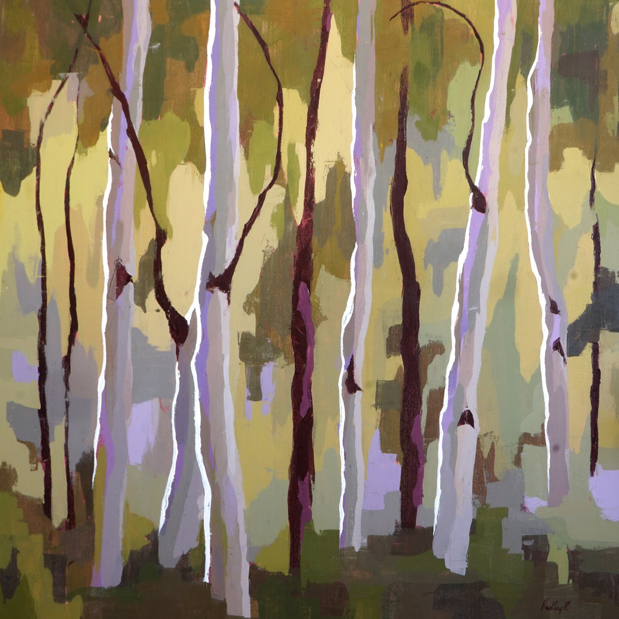 Controluce, c. 2013 da Hadley Rampton