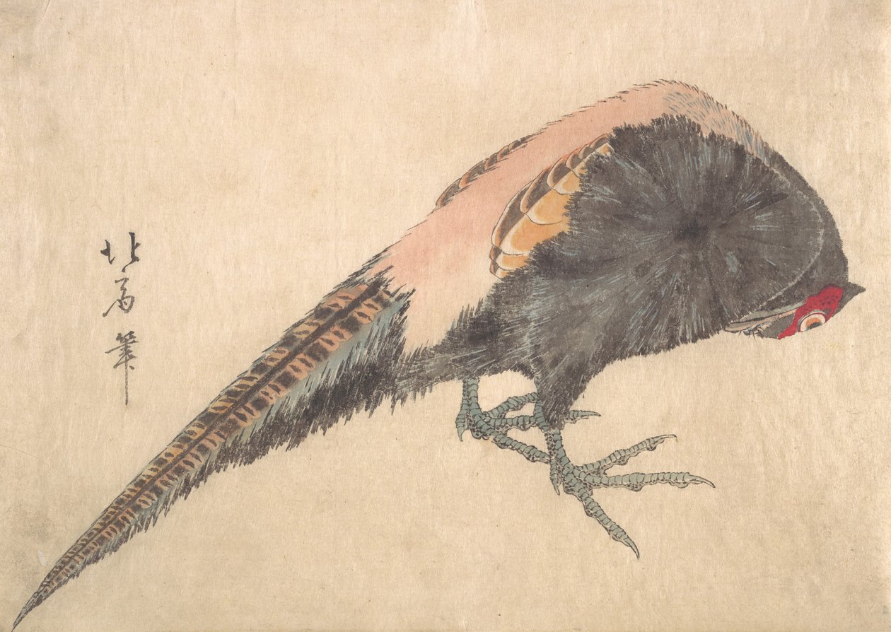Uccello da Hakusanjin Hokui
