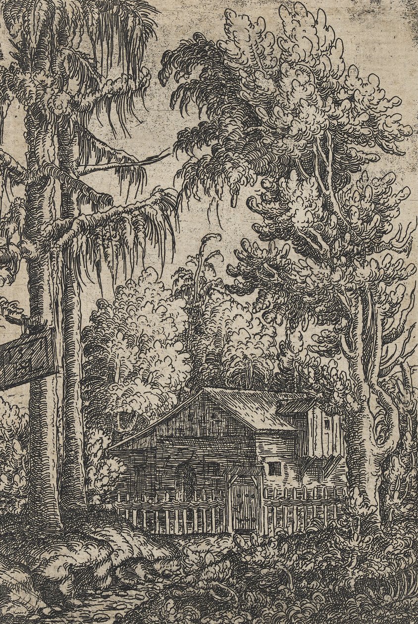 Una capanna e due pini da Hanns Sebald Lautensack