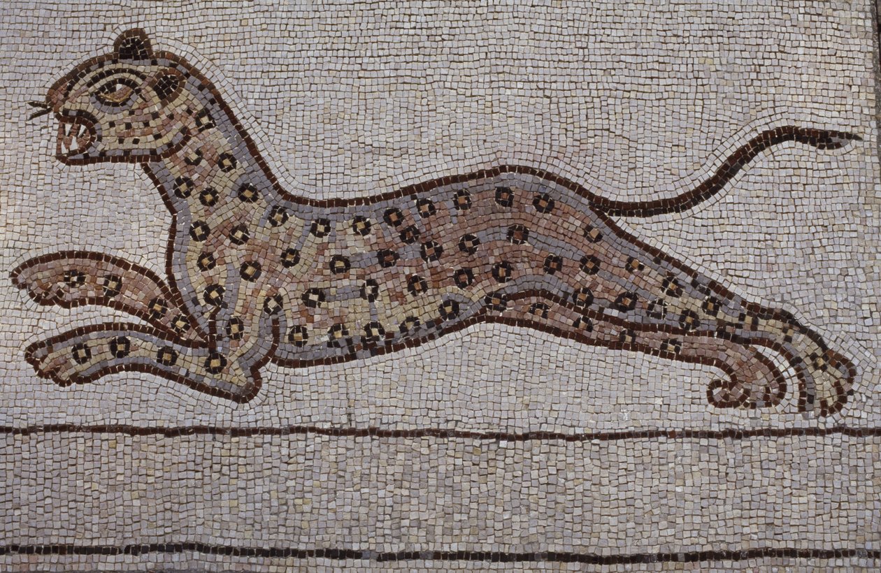 Un leopardo (mosaico) da Hans Leonard Schaufelein