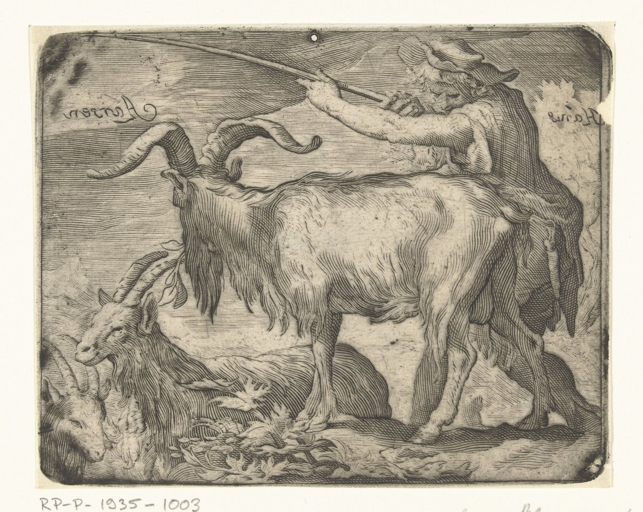 Ragazzo con capre da Hans Aarsen (signed by artist)