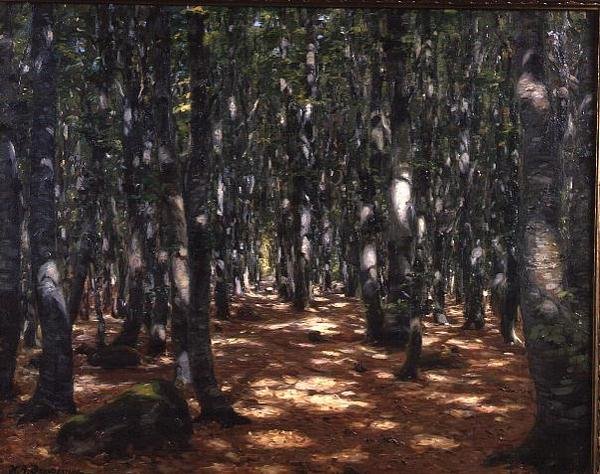 Foresta illuminata dal sole da Hans Andersen Brendekilde