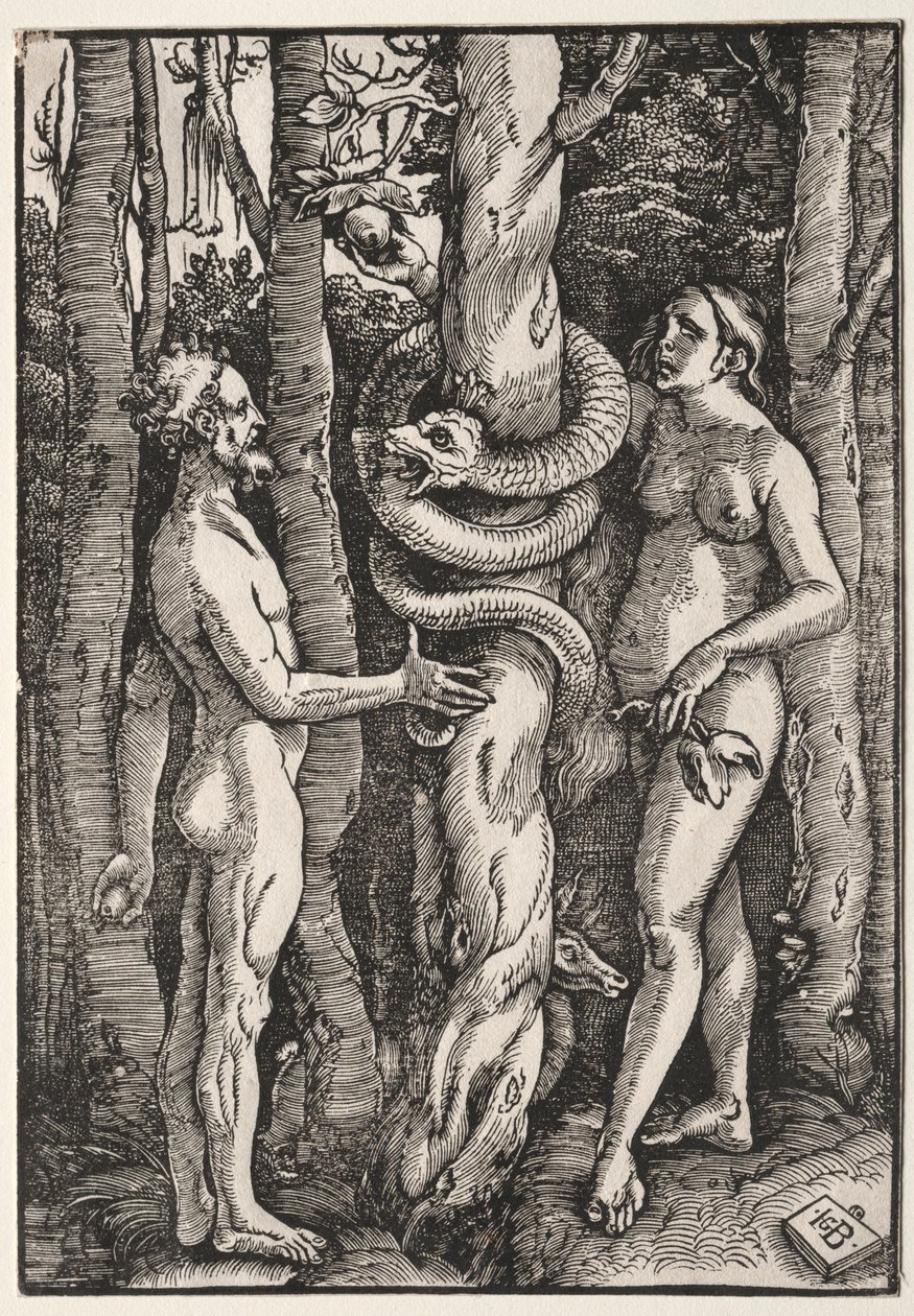 Adamo ed Eva, c. 1514 da Hans Baldung