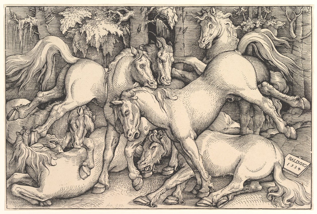 Gruppo di sette cavalli, 1534 da Hans Baldung