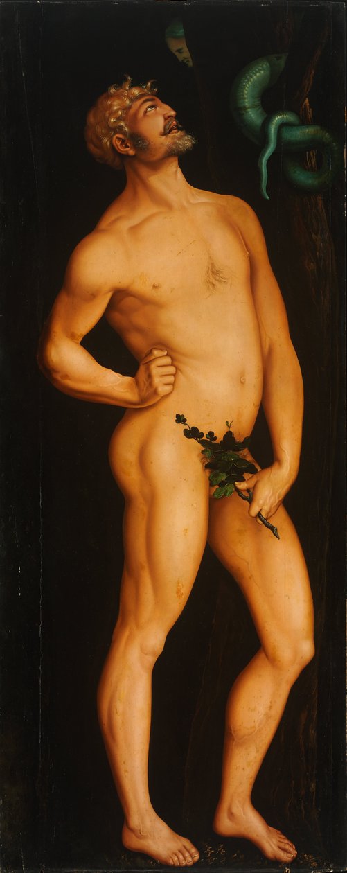 Adamo da Hans Baldung Grien