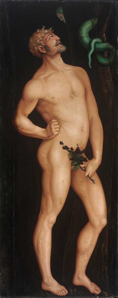 Adamo da Hans Baldung Grien