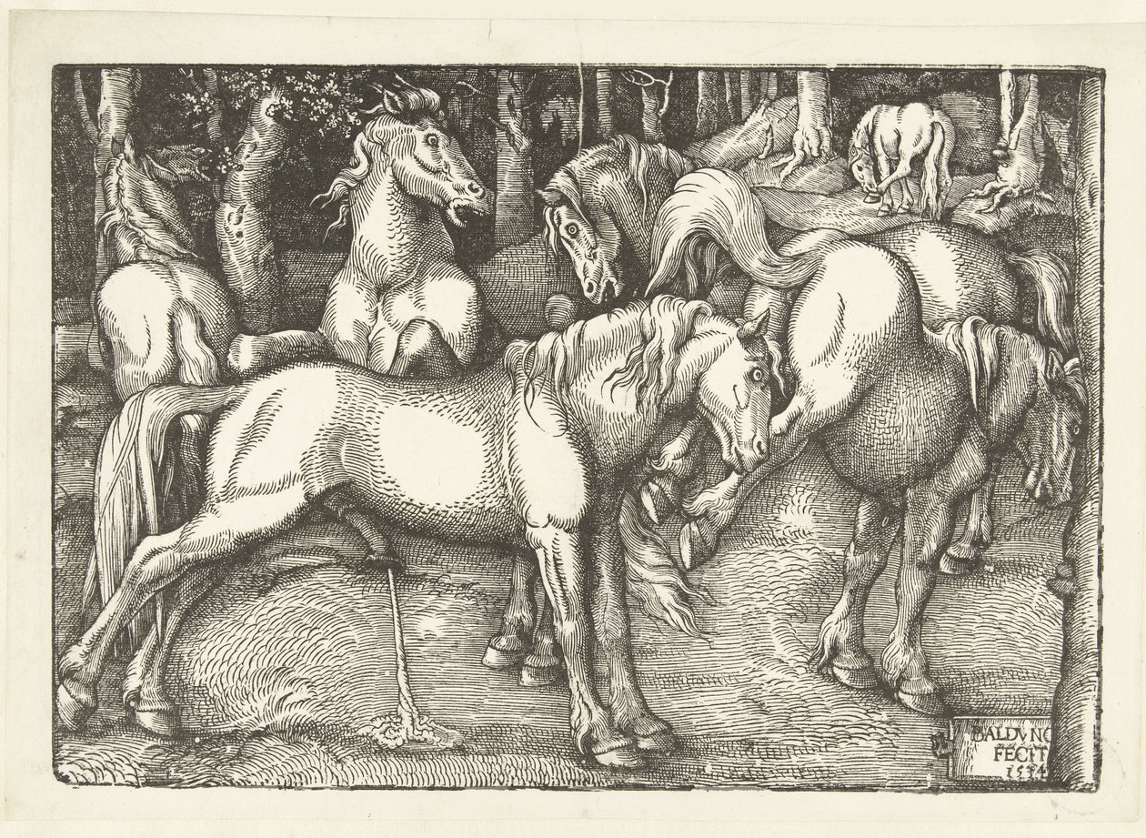 Gruppo di sei cavalli che combattono da Hans Baldung Grien