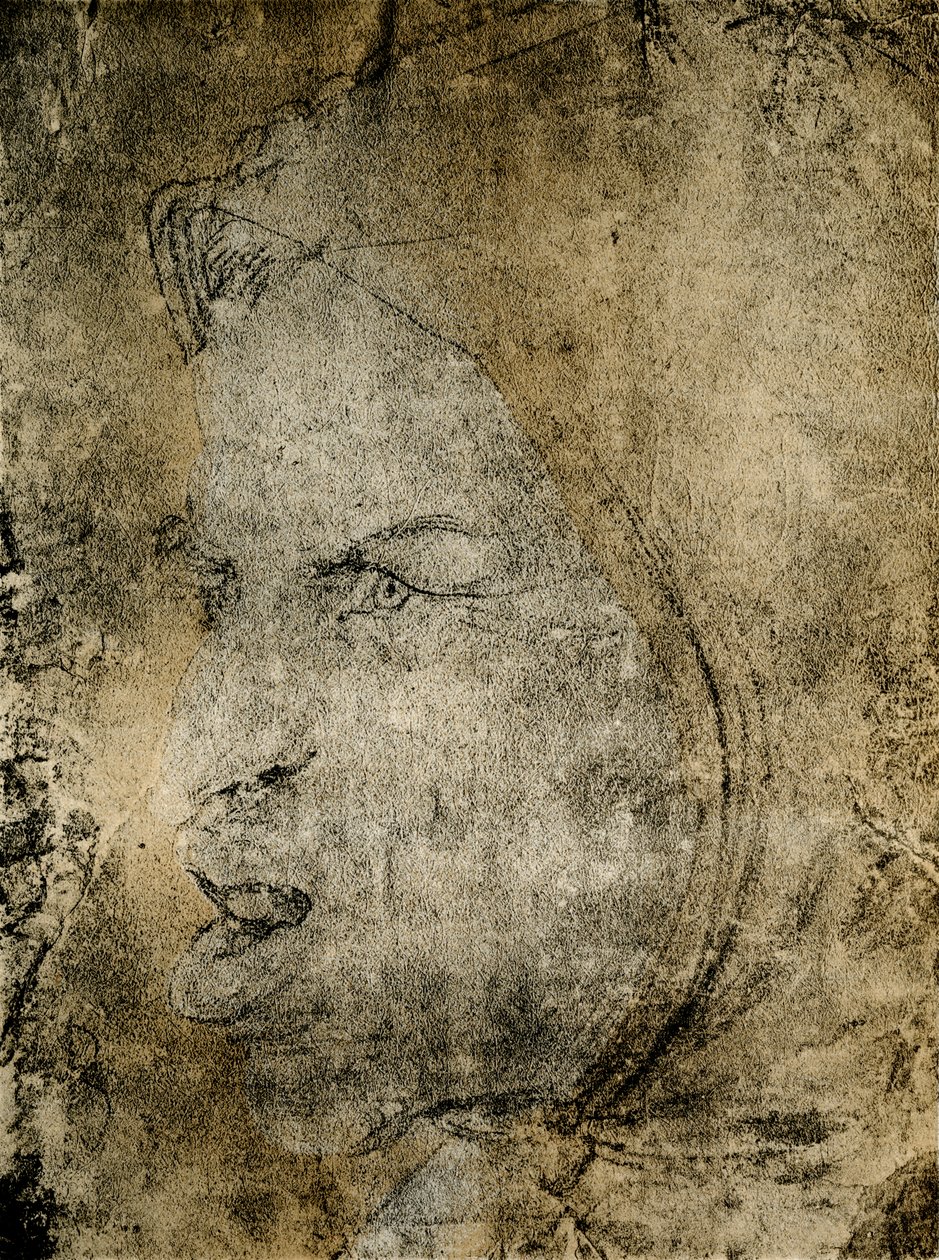 Testa di un pazzo da Hans Baldung Grien