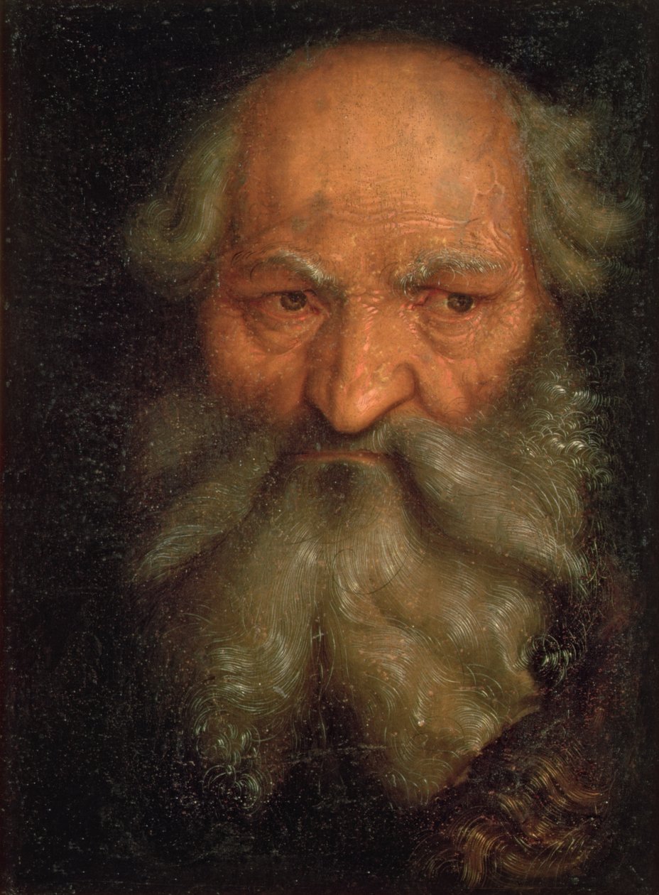 Testa di un vecchio da Hans Baldung Grien