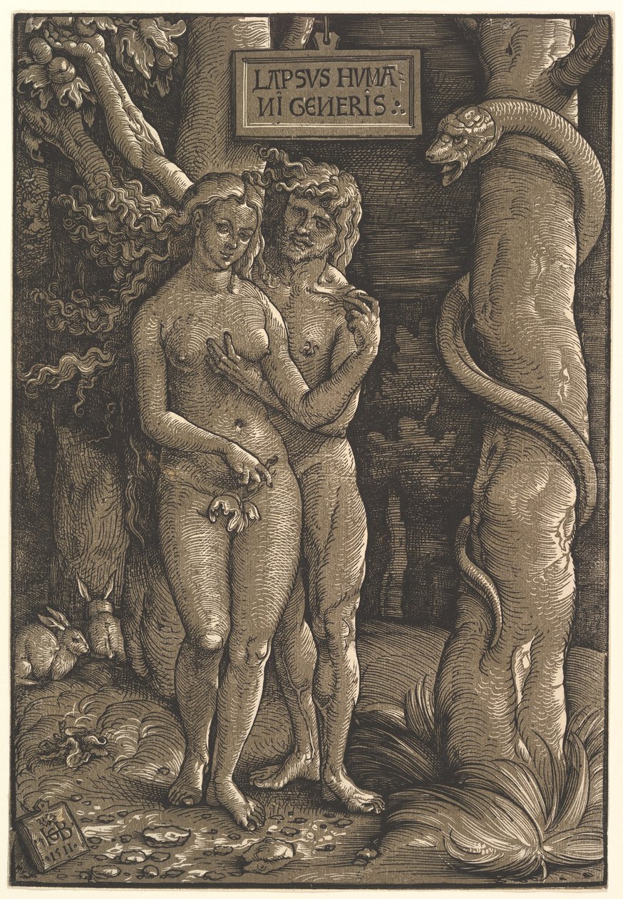 La caduta dell
