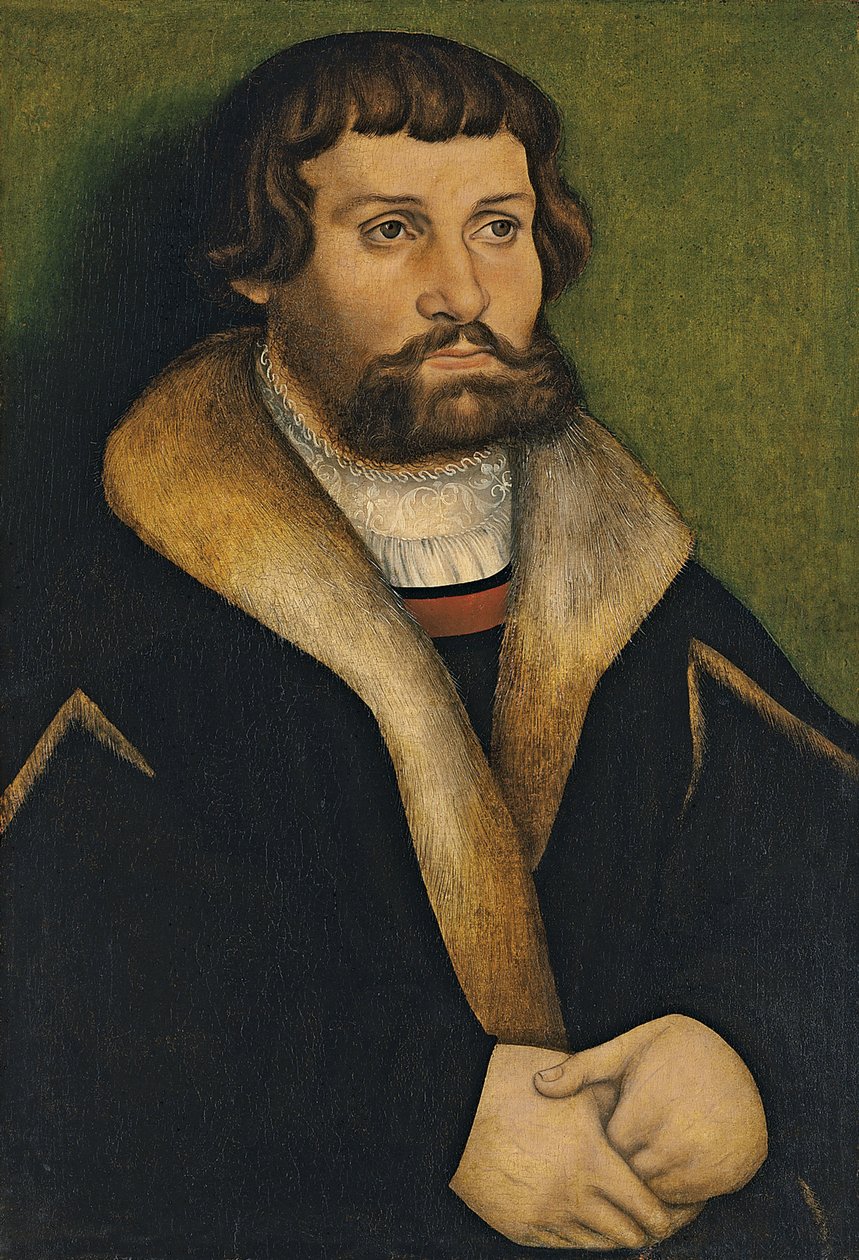 Ritratto di un uomo con la barba da Hans Cranach