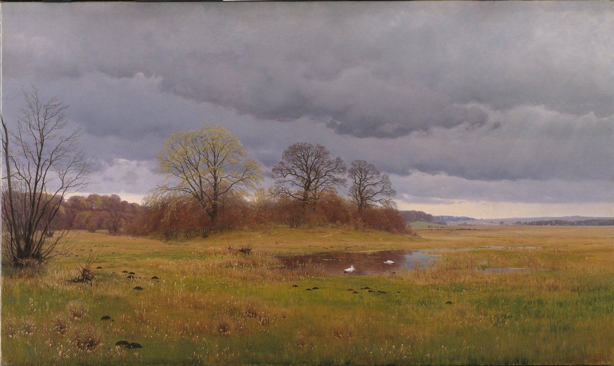 Paesaggio Primaverile con Piogge. Sud della Selandia da Hans Friis