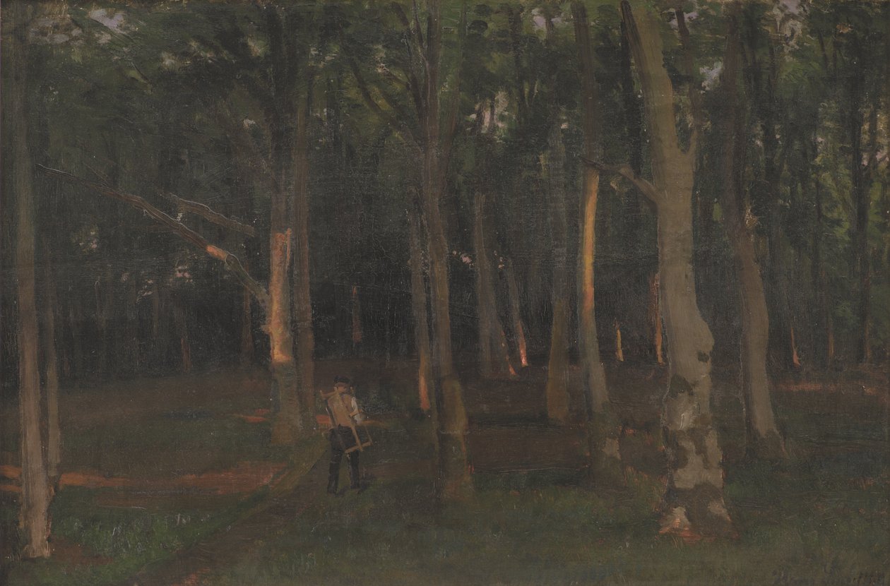 Bosco al Tramonto da Hans Smidth