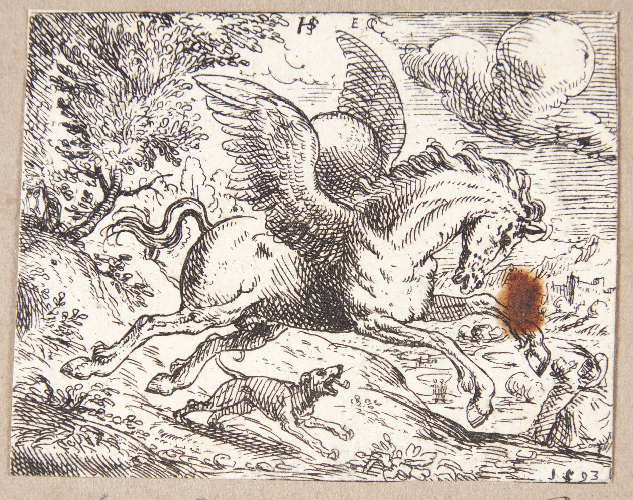 Pegaso da Hans Strohmayer