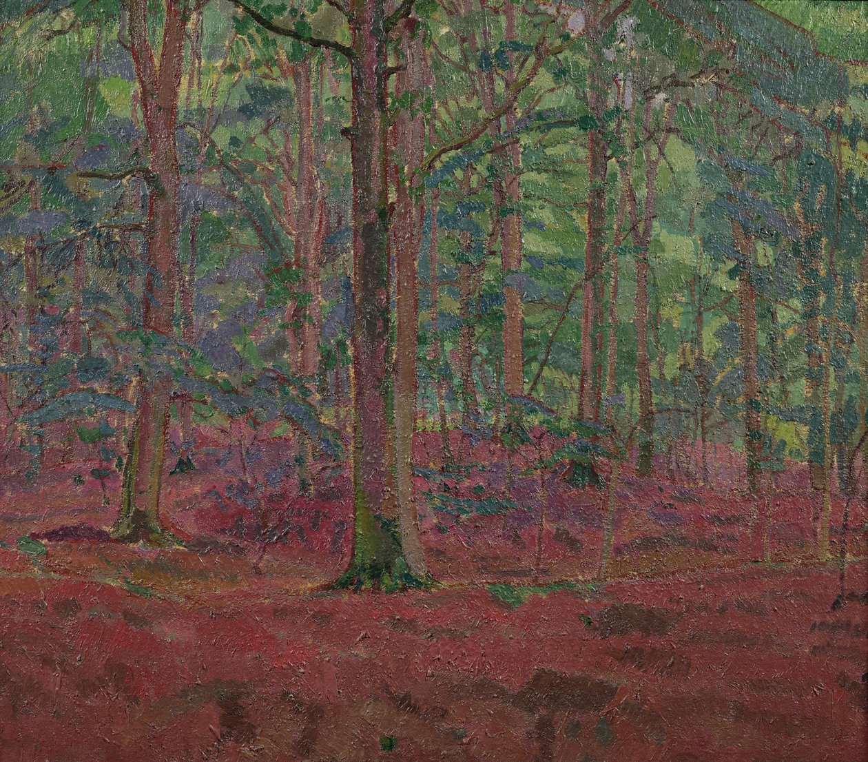 Un bosco di faggi da Harold Gilman