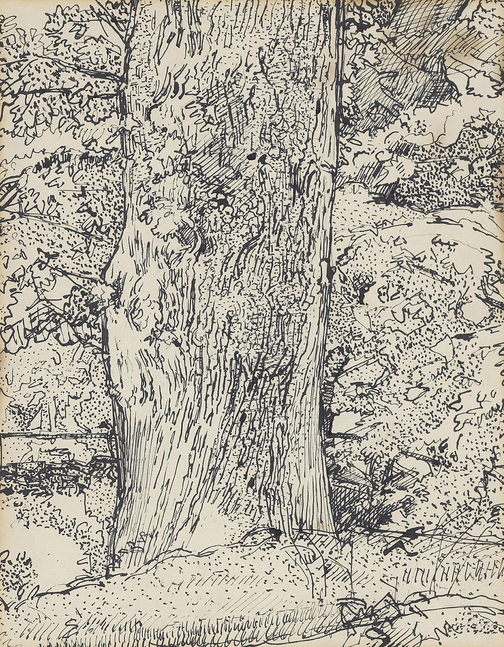 Albero, 1916 da Harold Gilman