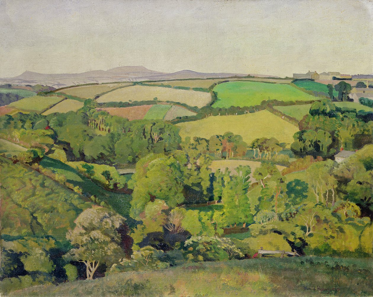 Valle del Drift da Harold Harvey