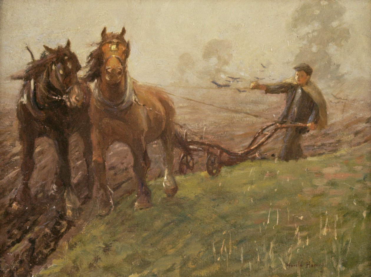 Uomo che ara un campo da Harold Harvey