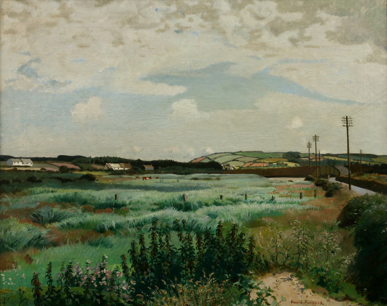 Palude di Marazion da Harold Harvey