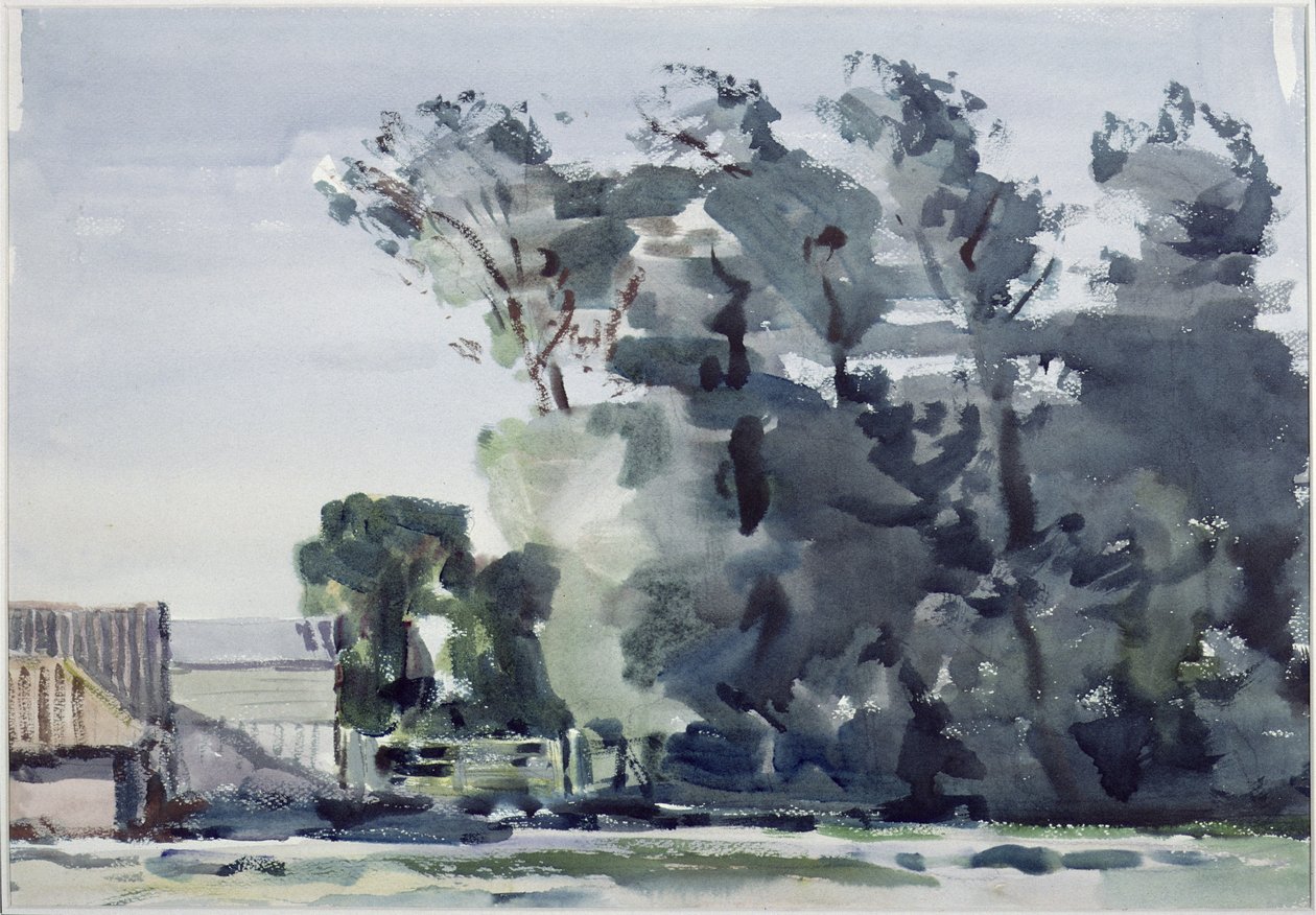 Alberi - Alba da Harry Becker