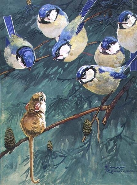 Sei contro uno da Harry Rountree