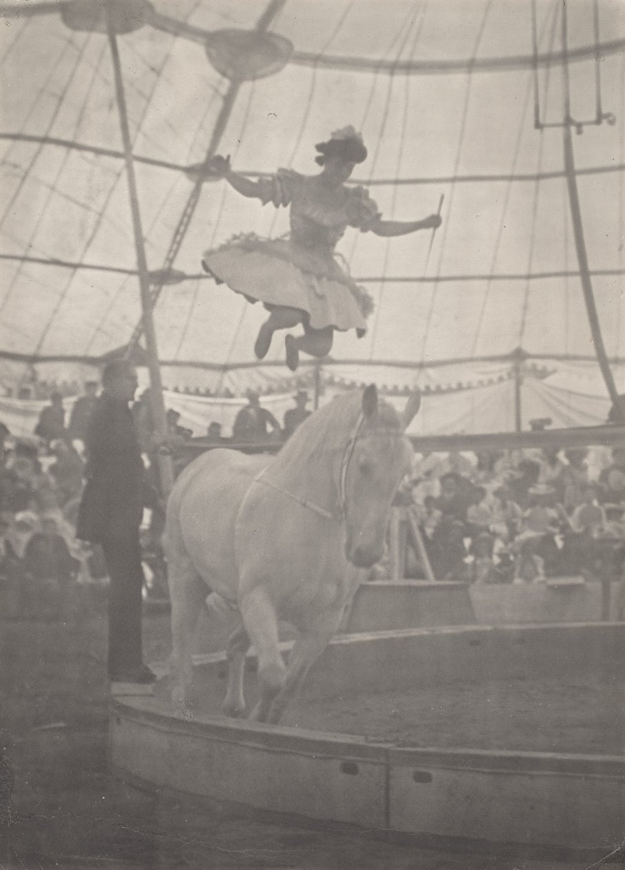 Il circo da Harry C. Rubincam