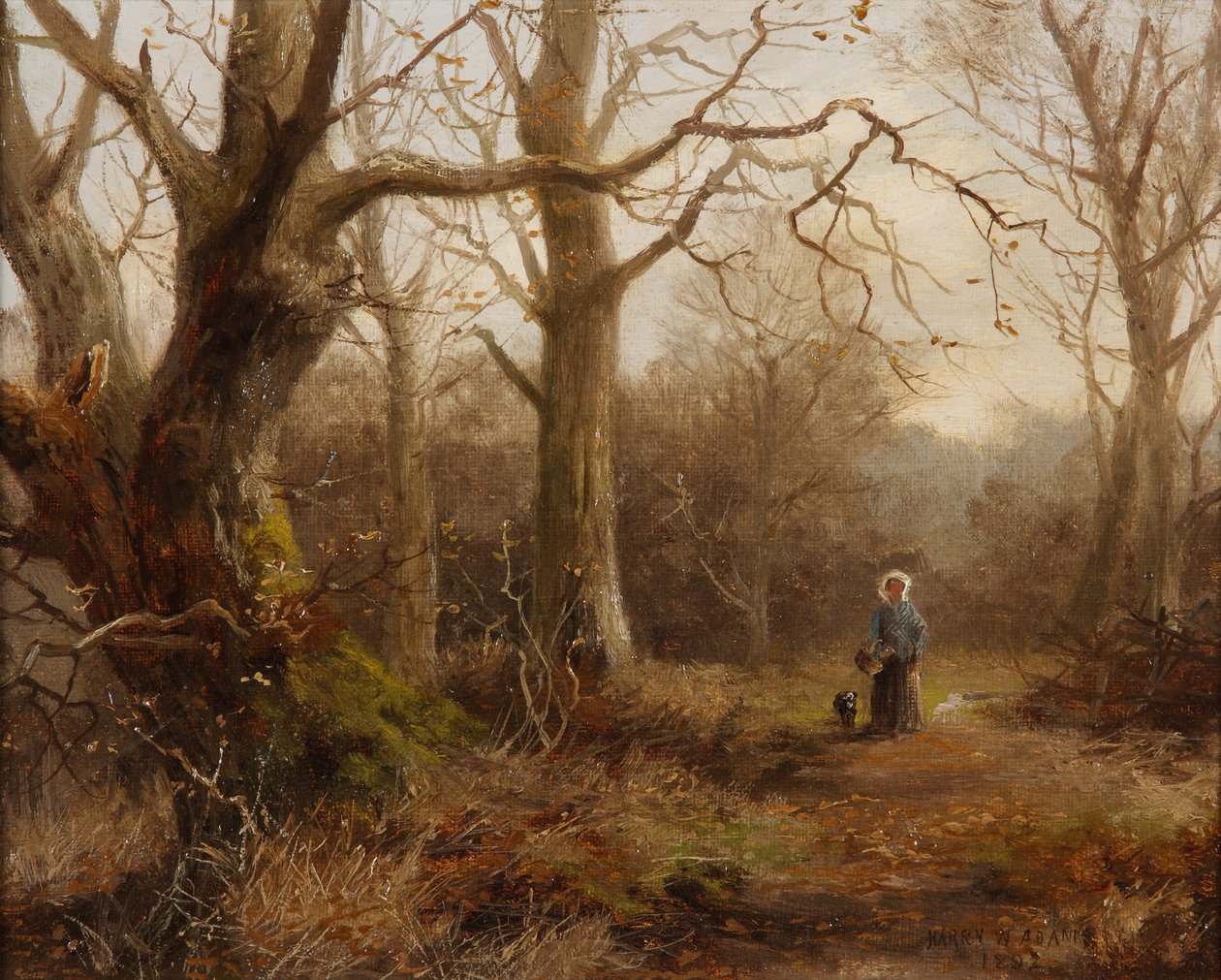 Scena boschiva da Harry William Adams