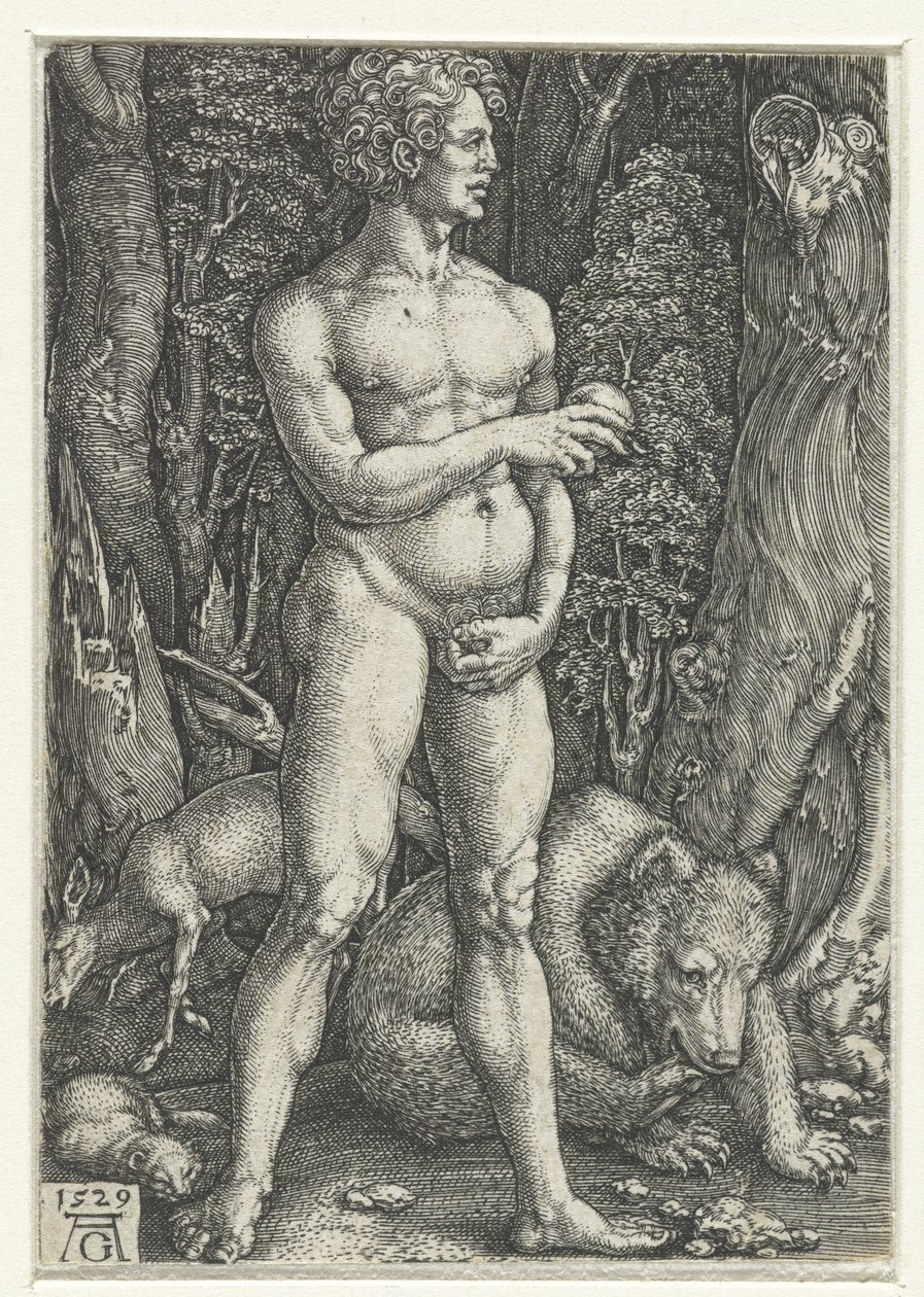 Adamo da Heinrich Aldegrever